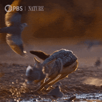 Happening on Base: New Ways to Get Updates 