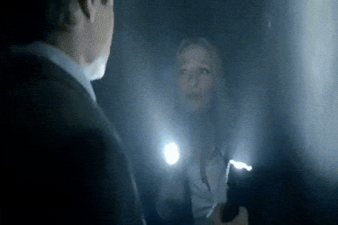 x files GIF by The X-Files
