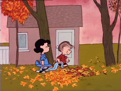  “Fall Vibes and Halloween Nights”