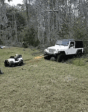 car lil GIF