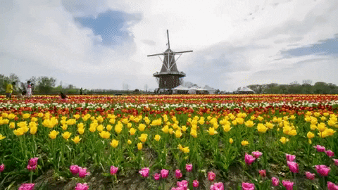 Midwest Startups Newsletter - Midwest in Bloom Edition 🌸