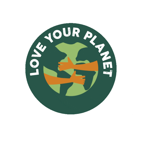 The Eco-Friendly Driver: Sustainable Driving Practices