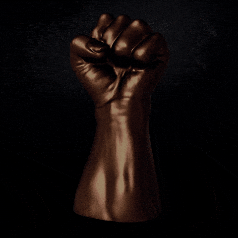BlackVoter.Org
