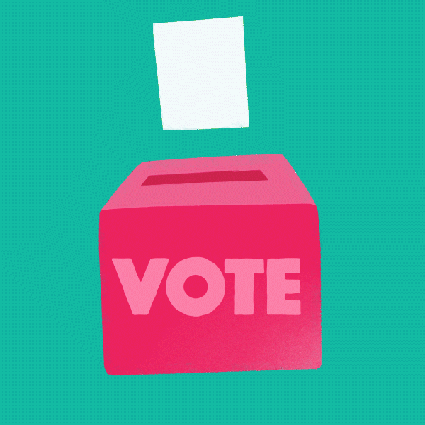 🗳️Barriers to Ballots