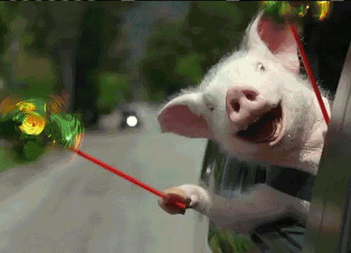 True Happiness for Traders – and a Warning...