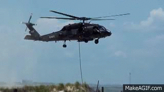 Montana National Guard Helicopter Linked to Elk Antler Theft 🚁