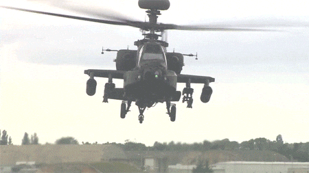 Look Up! Texas Looking Target Invasive Sheep with Helicopter Hunting 🚁