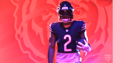 Bears Win Backups Bowl 31-28 Against Steelers