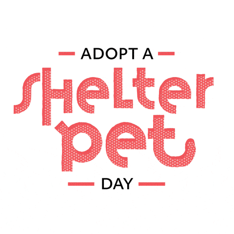 NATIONAL 🐶 ADOPT 🐈⬛ A SHELTER PET DAY