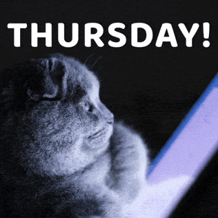 Working Days Of The Week GIF by Sealed With A GIF