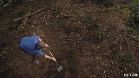 🪔 What to expect this week