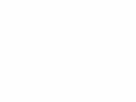 Rye Whiskey Cheers GIF by Sagamore Spirit