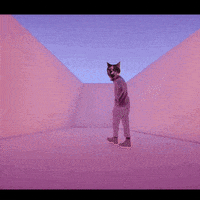 hotline bling cat GIF by Best Friends Animal Society