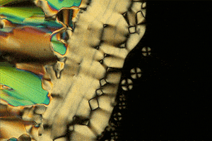 dna crystal GIF by Digg