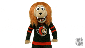 Ice Hockey Thumbs Up GIF by NHL