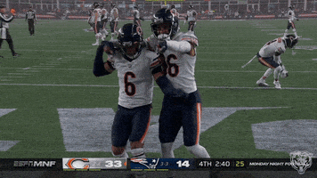 Celebrating Monsters Of The Midway GIF by Chicago Bears
