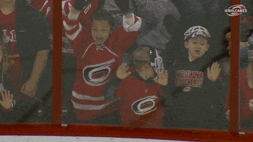 kids dancing GIF by Carolina Hurricanes
