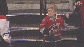 hockey dancing GIF by Carolina Hurricanes