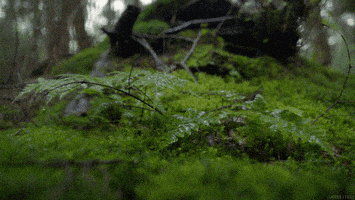 water raining GIF by Living Stills