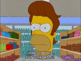 homer simpson comeback GIF