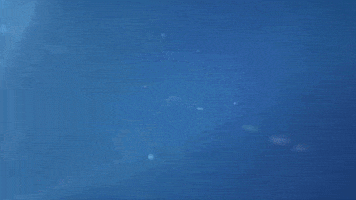 logo GIF by Laurentian University