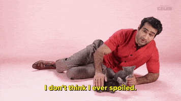 International Cat Day Spoilers GIF by BuzzFeed