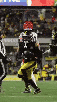 Celebration Nfl GIF by Pittsburgh Steelers