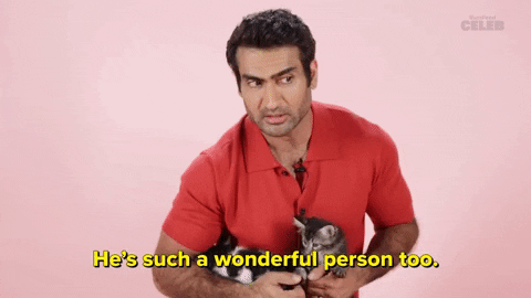 International Cat Day Kittens GIF by BuzzFeed