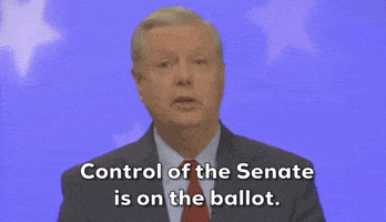 Lindsey Graham GIF by Election 2020