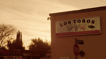 gordon ramsay GIF by Gordon Ramsay's 24 Hours to Hell and Back