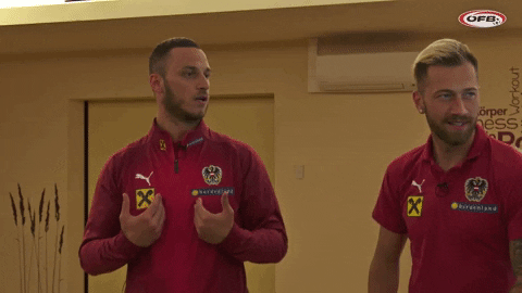 Giphy - National Team Austria GIF by ÖFB