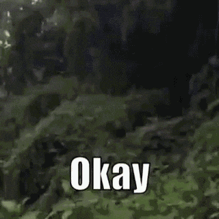 Giphy - Okaay Ok GIF by MOODMAN