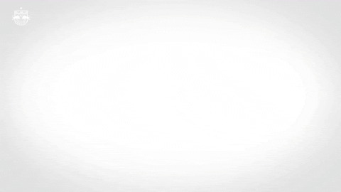 Giphy - Salute GIF by FC Red Bull Salzburg