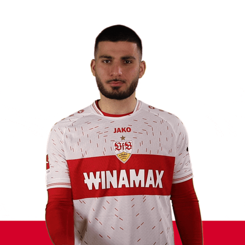 Giphy - Komm Doch Lets Go GIF by VfB Stuttgart