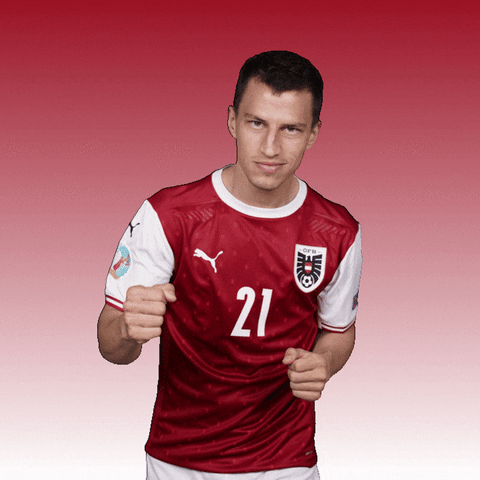 Giphy - Euro 2020 Football GIF by UEFA