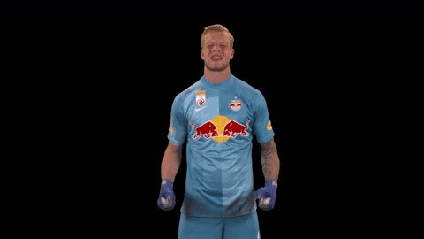 Giphy - Celebrate Red Bull GIF by FC Red Bull Salzburg