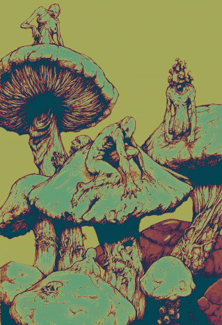 Giphy - magic mushrooms GIF