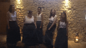 Dance Bridesmaids GIF