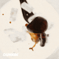 National Coffee Day GIF by Dunkin’