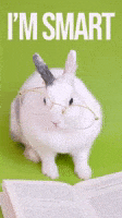 Bunny Rabbit Awww GIF by Sealed With A GIF