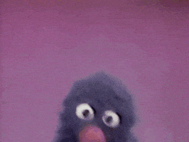 Sesame Street Photo GIF