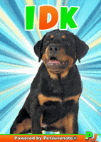 Taylor Idk GIF by PetJuvenate - PJ