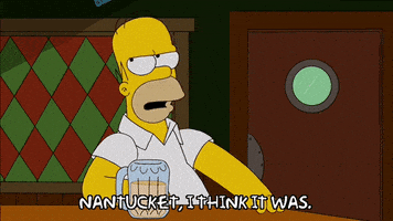 homer simpson GIF