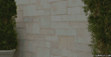 Life Smash GIF Life Smash GIF