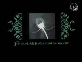 Stevie Wonder GIF by Eternal Family