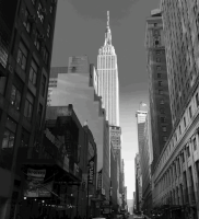 animation art GIF by Ryan Seslow