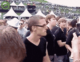 Music Festival Dancing GIF