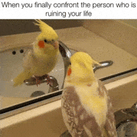 Bird When You Realize GIF