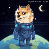 Shiba Inu Smiling GIF by Doge Pound