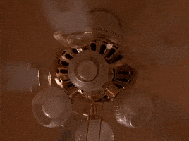 season 1 GIF by Twin Peaks on Showtime